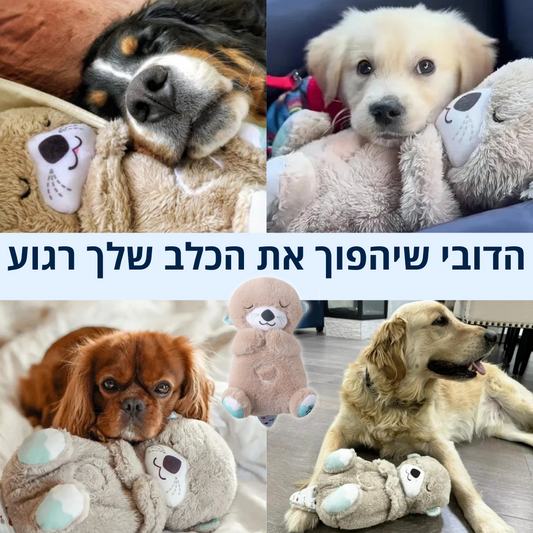 דובי הרגעה לכלב שלך